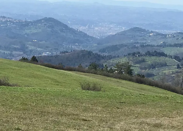 Dino